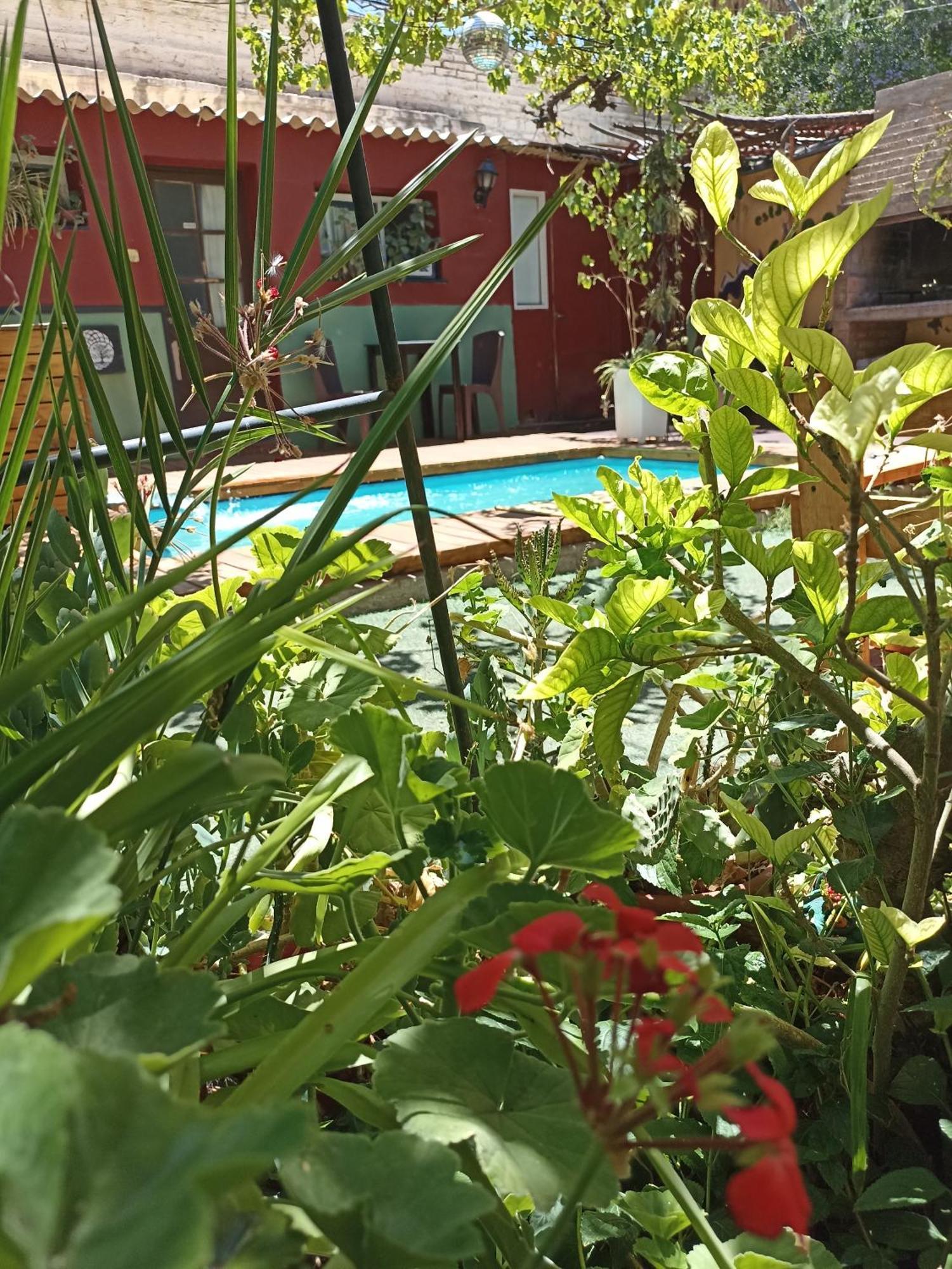 Hostal Estacion